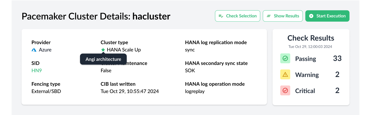 Cluser with Angi Architecture